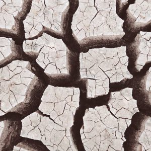 Cracked dry earth symbolizing divisions in society, representing the need to rebuild and reconnect across democratic fault lines.