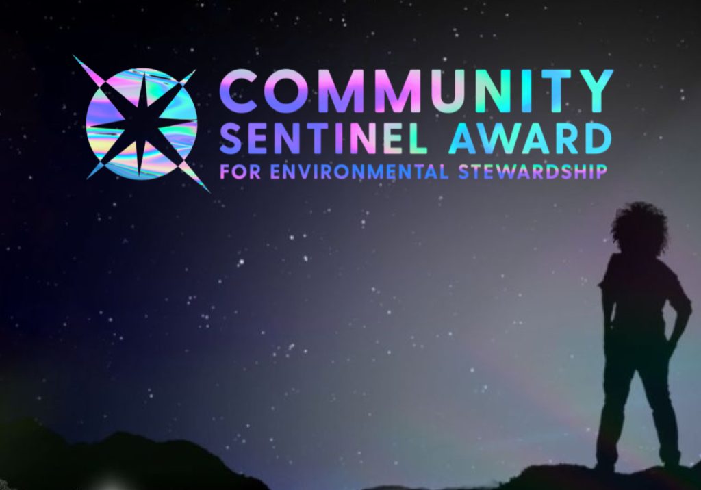 Community Sentinel Award graphic with a lone sentinel figure under stars, representing recognition in advocacy networks
