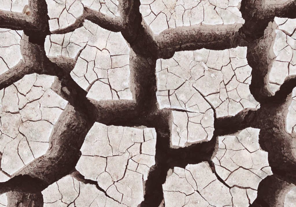 Cracked dry earth symbolizing divisions in society, representing the need to rebuild and reconnect across democratic fault lines.